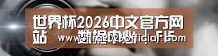 公司动态