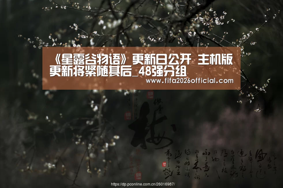 48强分组