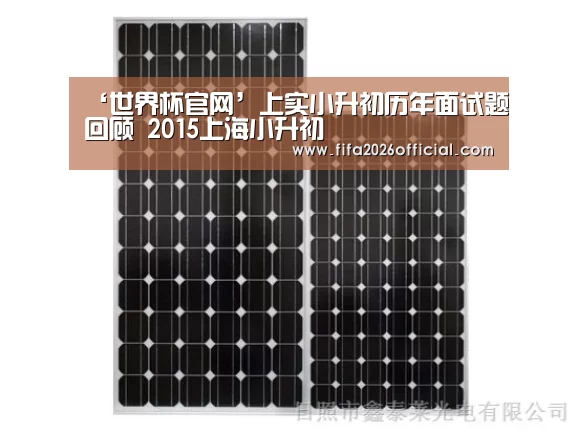 ‘世界杯官网’上实小升初历年面试题回顾 2015上海小升初(图3) 48强分组